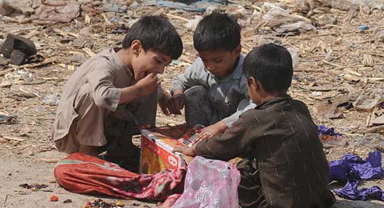 企业级云服务的ddos免费测试